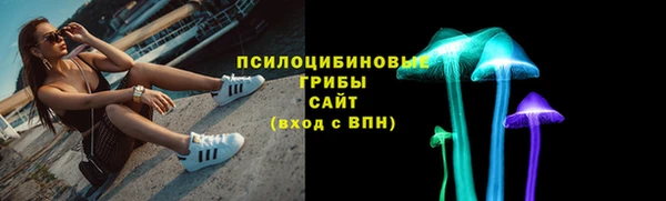шишки Балабаново