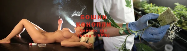 шишки Балабаново