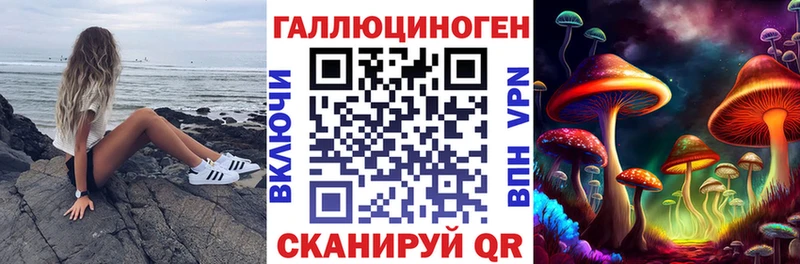 Галлюциногенные грибы Cubensis  Высоцк 